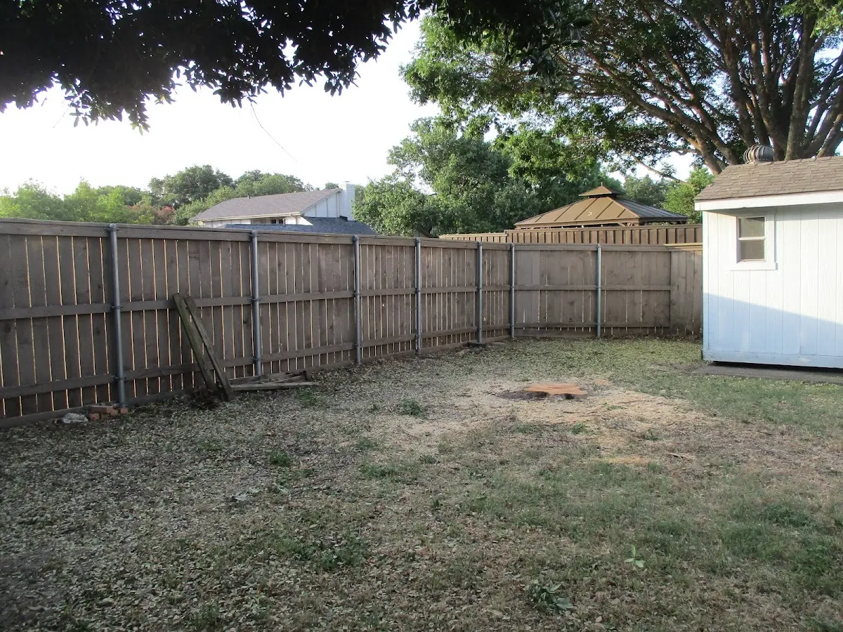 Cleared yard after professional tree removal in Gassaway
